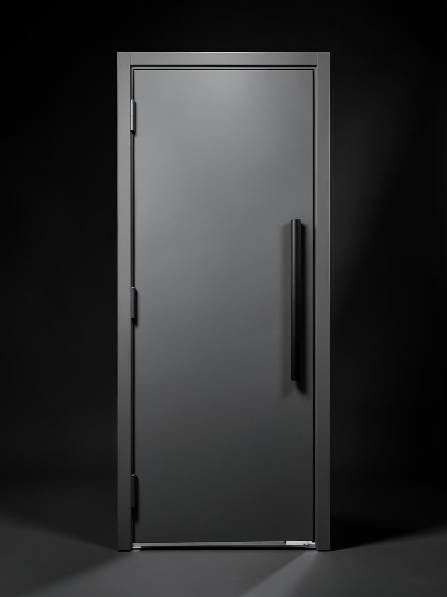 Sentinel Steel security door